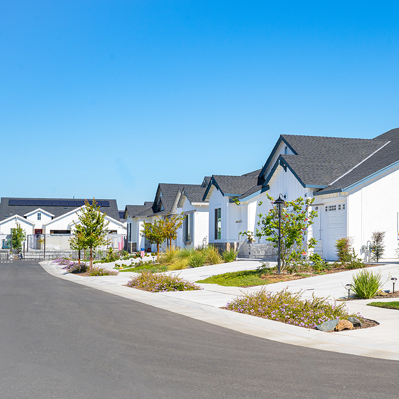 row of single story suburban homes